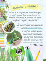 Змеи, ящерицы, черепахи