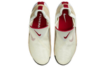 Nike Go Flyease Sail Sanddrift Gym