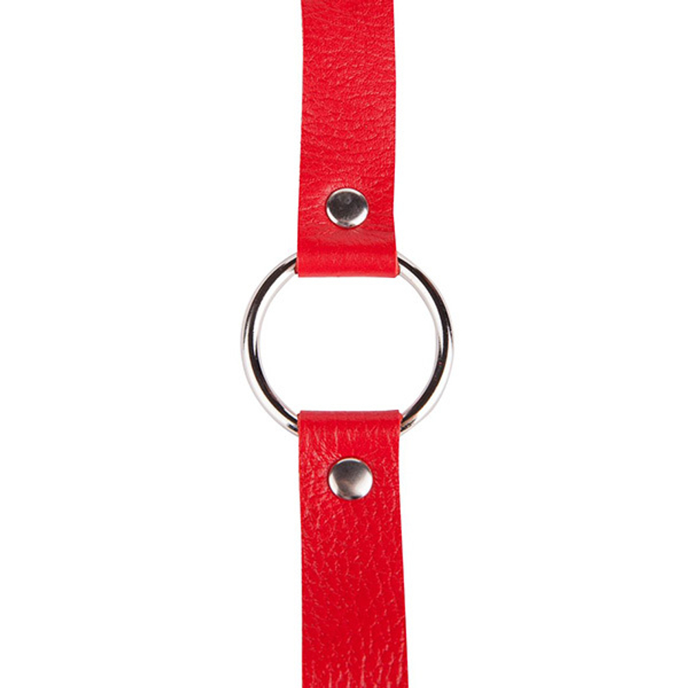 Кляп-кольцо на красных кожаных ремешках Sitabella BDSM Accessories 3092-2
