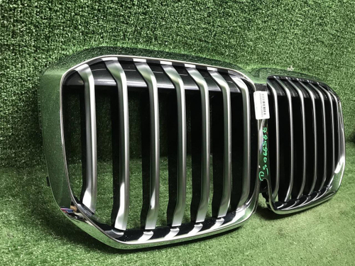 Решетка радиатора BMW X7 G07 (2019-2022)