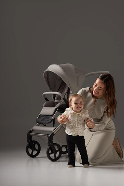 Детская коляска Anex Eli 2 в 1 без рюкзака Santal El-06