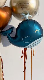 Воздушные шары на выписку для мальчика №9046