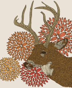 Коллекция Животные