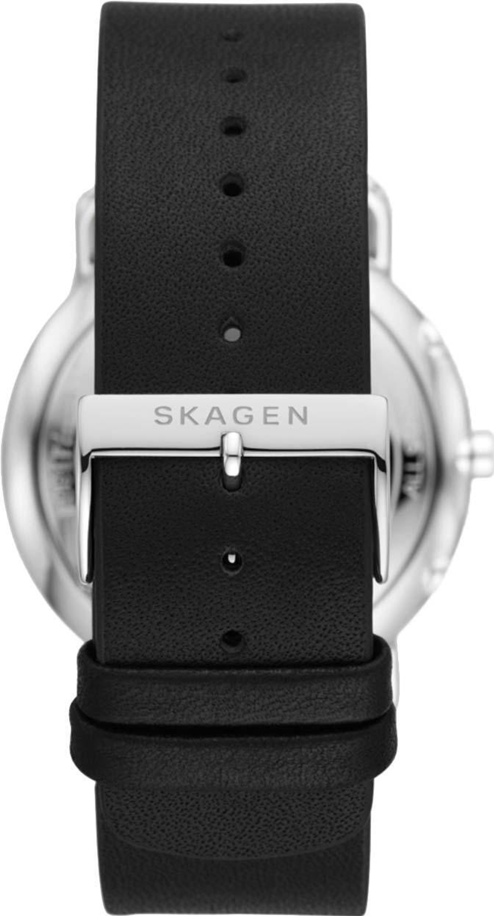 Мужские наручные часы Skagen SKW6702