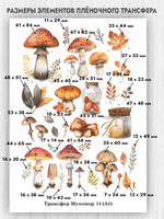 Трансфер для декупажа переводной рисунок для поверхностей мухомор 014