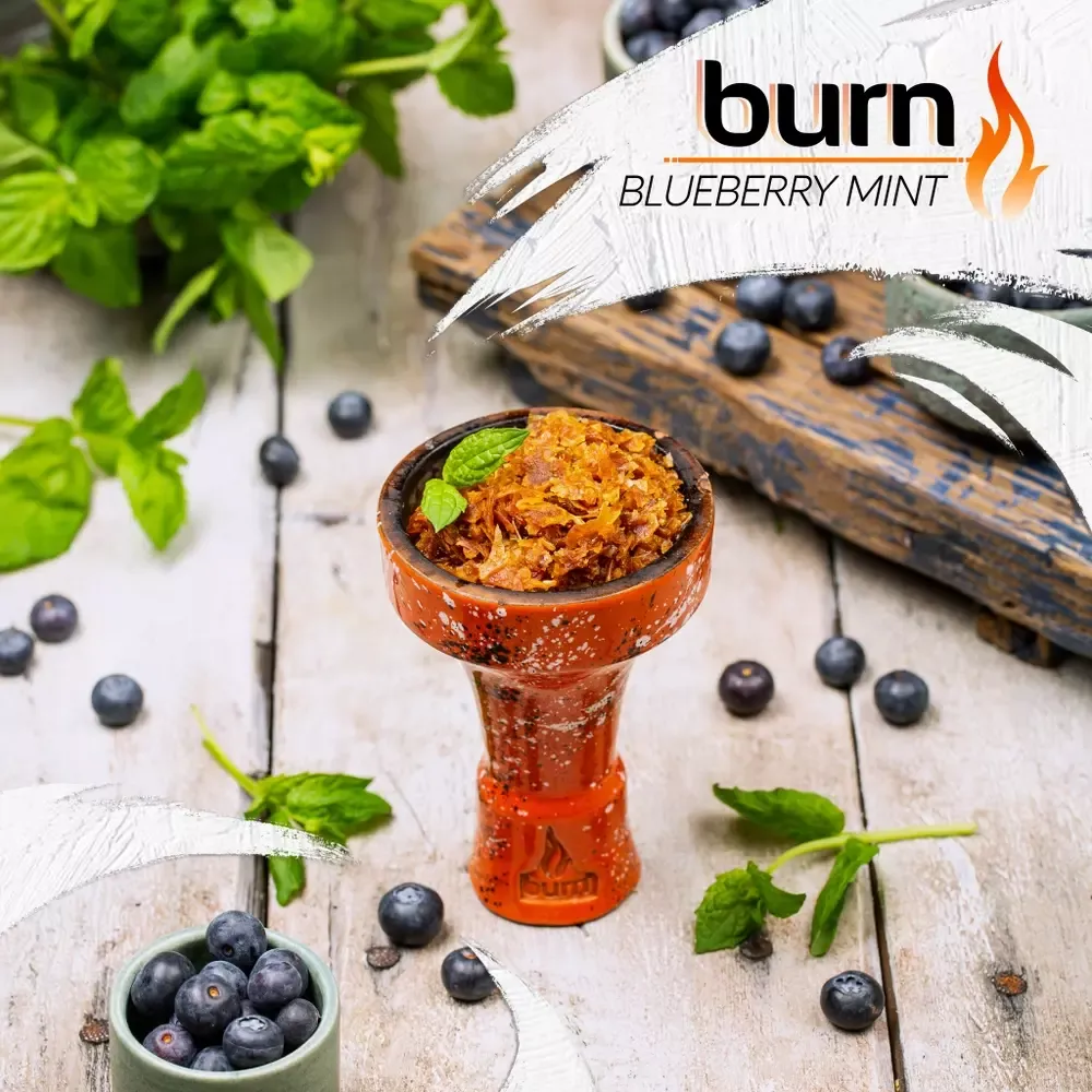 Burn - Blueberry Mint (100г)