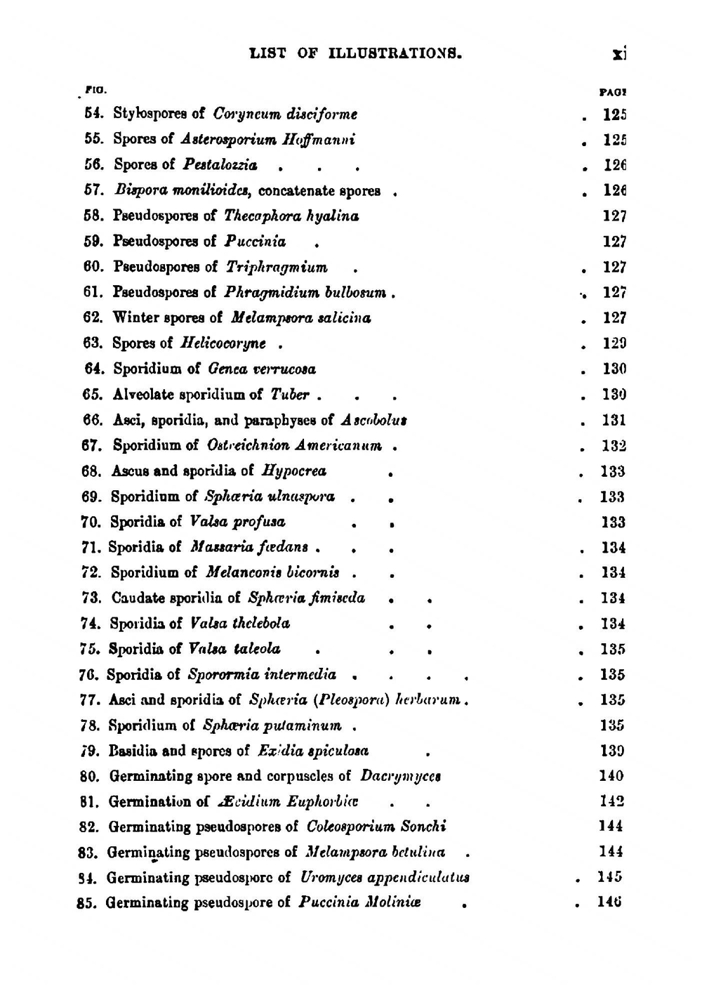 Fungi | Miles Joseph Berkeley