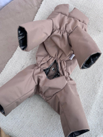 Демисезонный комбинезон для собак с длинными лапами (мальчик)