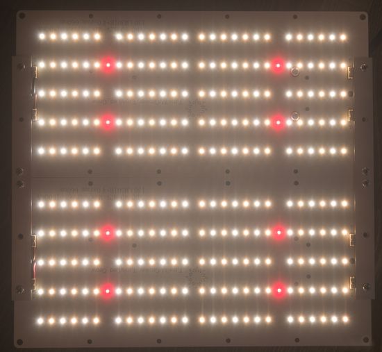 Quantum Board Sun2 Эконом 260 Вт