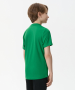 Футболка вратарская DIVISION PerFormDRY SPLASH GK Jersey, зеленый, детский