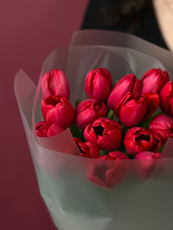 Букет бордовых гладких тюльпанов
