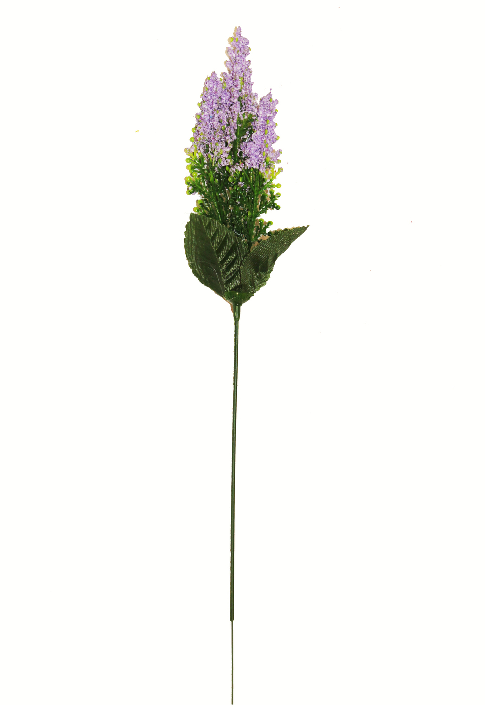 Ветка кукурузки