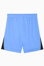 Шорты Puma teamLIGA 26 - голубой