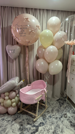 Пудровые воздушные шары на выписку девочки, аист №3674