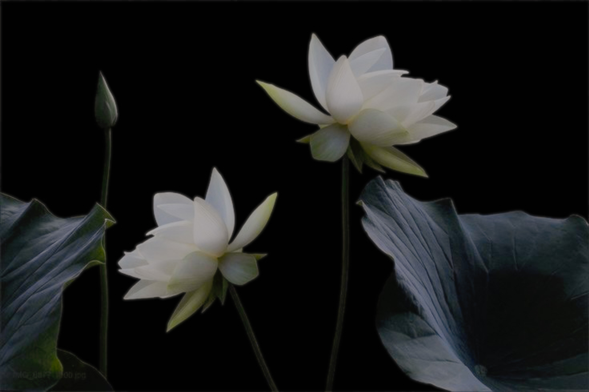 присоединяйтесь к нам в телеграм