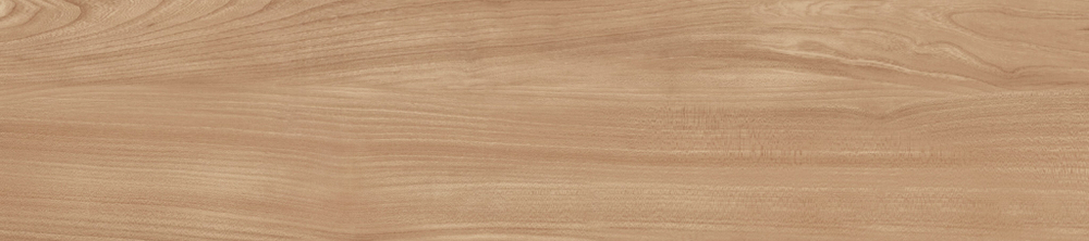 Dune Natural GP2090DUE31R