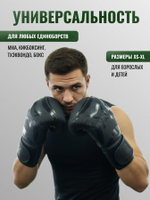 Перчатки боксерские Punch Elite черные 10-14 унций