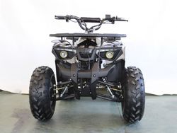 Квадроцикл GreenCamel Атакама T240 (48V 1000W R8 Дифференциал) пониженная