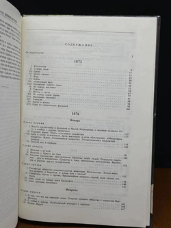 Дневник писателя. 1873-1881