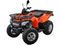 Квадроцикл MOTOLAND ATV 200 MAX