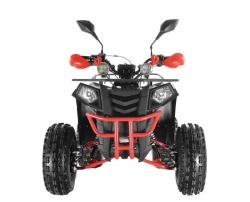 Квадроцикл Wels Thunder EVO X