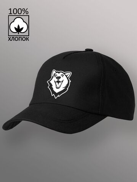 Бейсболка Собака породы хаски