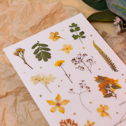 Стикерпак "Гербарий" 🌾