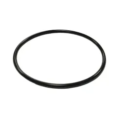 Кольцо уплотнительное для колбы BigBlue 10ББ-ПР 38113