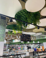 Озеленение искусственными растениями кафе в супермаркете "Табрис"  г.Краснодар