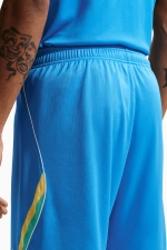 Шорты Nike Brazil 2026 Home Stadium - синий
