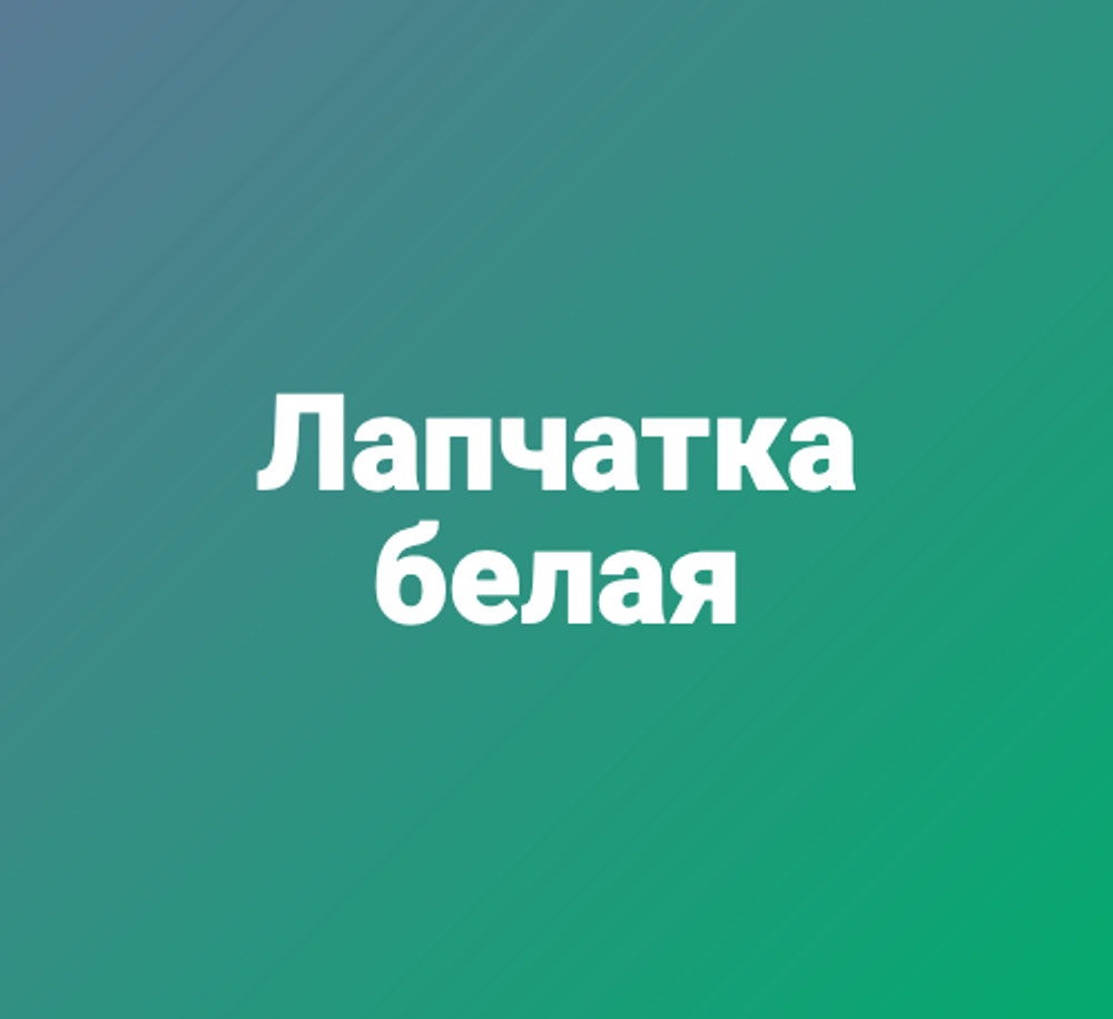 Лапчатка белая