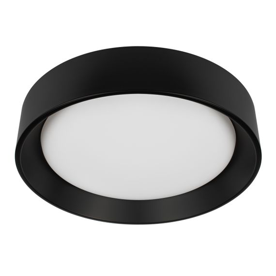 Потолочный светильник Loft it Coin 10202 BB