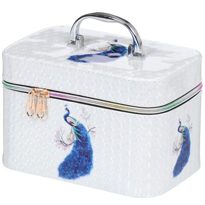 Шкатулка-кейс для украшений и косметики, 21х13х14 см, в асс, Y4-3132