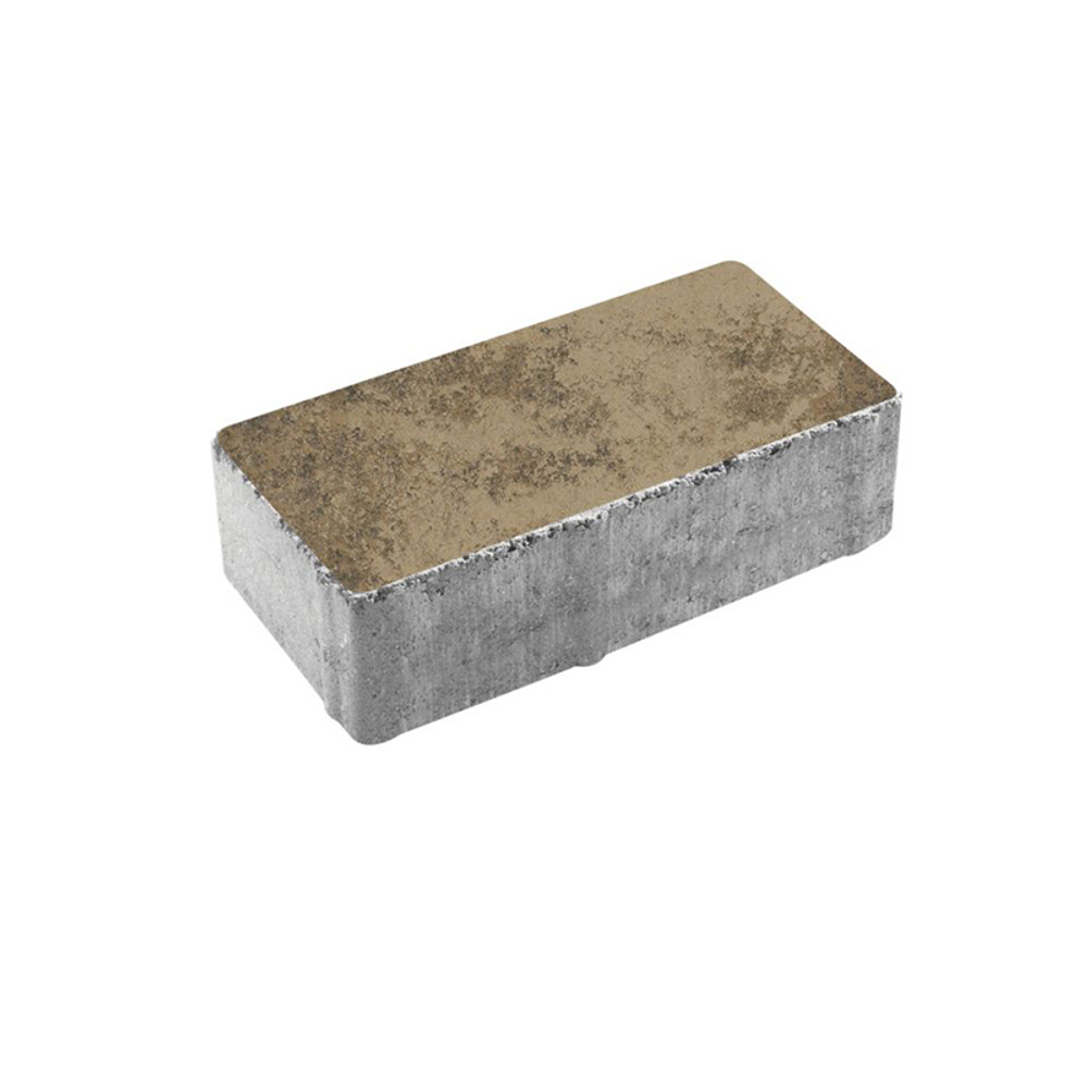 Тротуарная плитка ПРЯМОУГОЛЬНИК 200x100 мм - Листопад гладкий Старый замок