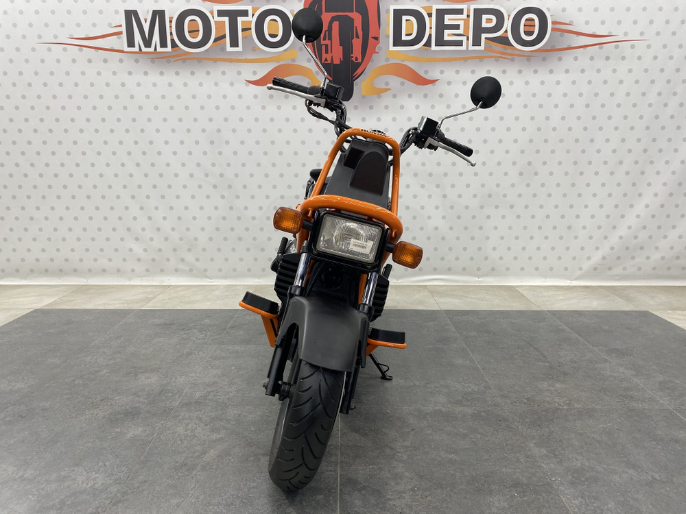 Honda PS250 Big Ruckus , 2006
