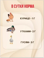 Здравур Несушка Кормовая добавка для кур 1500гр *3шт