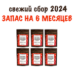 Мухомор красный в капсулах на 6 месяцев, 360 штук