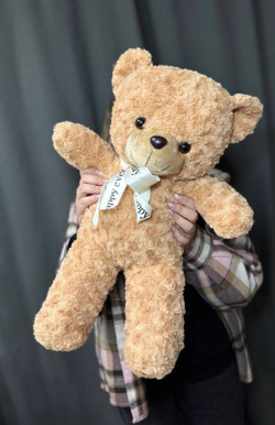 Медведь бежевого цвета