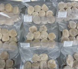 Морские гребешки 10/20, 500 гр