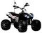 Электроквадроцикл RIVERTOYS P444PP