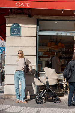 Детская коляска Anex iQ Premium NT 2 в 1 iQ-13-DNA seal