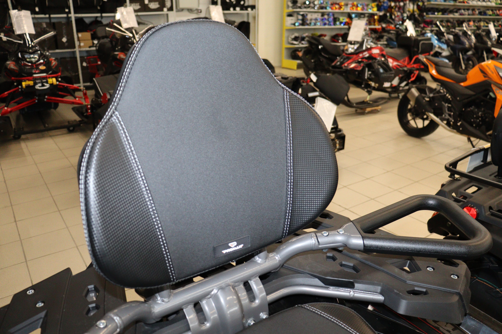 Квадроцикл PROMAX RENEGADE 280 LONG WINCH PRO (2025)