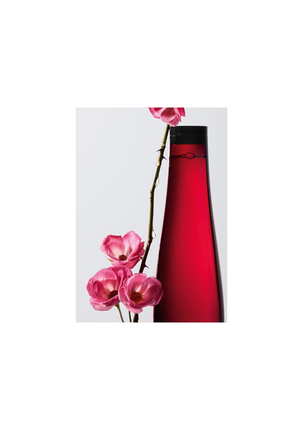 Shu Uemura Color Lustre - шампунь для защиты цвета /   300  ml  / GTIN 3474630652675
