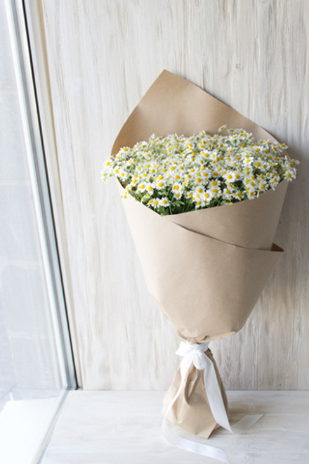 В глухих лугах