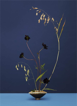 Modern Ikebana: A New Wave in Floral Design