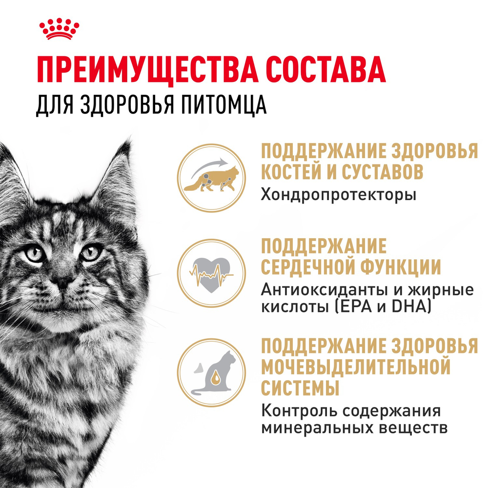 Royal Canin Maine Coon Adult Мейн Кун Эдалт Корм сухой для взрослых кошек породы Мэйн Кун 2кг