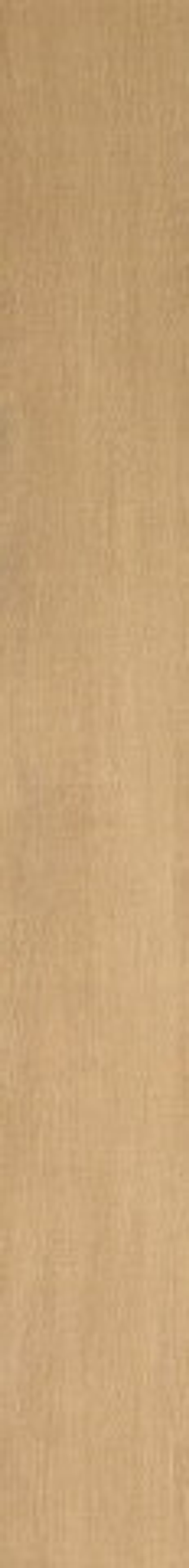 Atlas Concorde Nid Natural 18.5x150