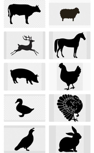 ПРИ ПОКУПКЕ от 100 кг ❗️