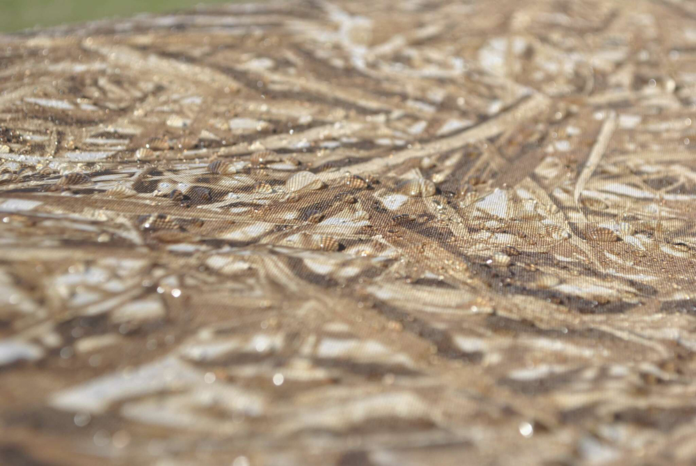 Палатка с тамбуром на 4 места Duck Mania NW1