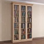 Шкаф книжный 3/1